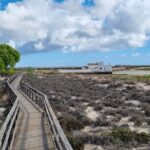 1 half day walking tour in ria formosa nature park Half Day Walking Tour in Ria Formosa Nature Park