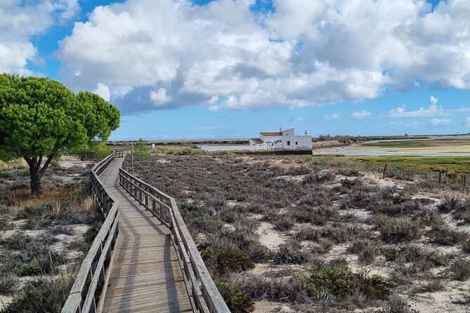 1 half day walking tour in ria formosa nature park Half Day Walking Tour in Ria Formosa Nature Park