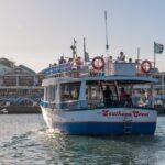 1 half hour seal and harbour cruise from cape town Half Hour Seal and Harbour Cruise From Cape Town