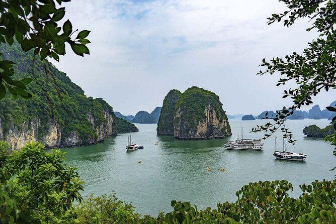 1 halong bay 2 days 1 night with orchid cruises 5 star Halong Bay 2 Days/1 Night With Orchid Cruises 5 Star