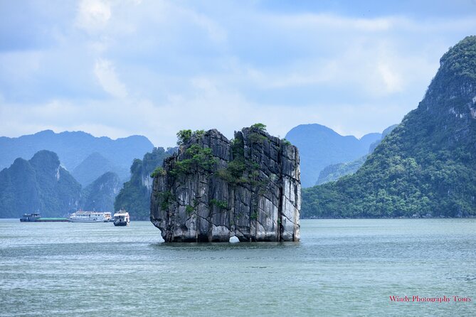 1 halong bay 6 hours cruise with buffet sung sot luon cave titop Halong Bay 6 Hours Cruise With Buffet, Sung Sot, Luon Cave, Titop