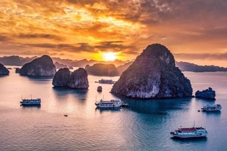 Halong Bay Day Tour 6 Hour Cruise, Kayak, Lunch, Small Group