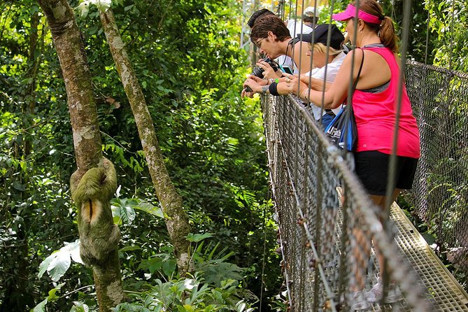 Hanging Bridges and Canyoning Combo