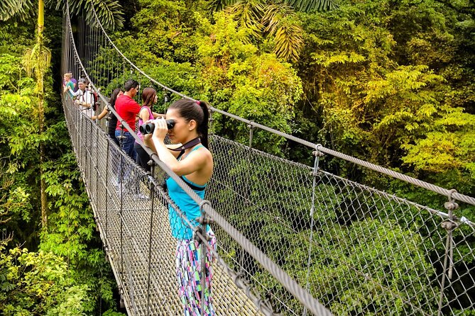 1 hanging bridges arenal volcano with lunch and hotsprings Hanging Bridges & Arenal Volcano With Lunch and Hotsprings