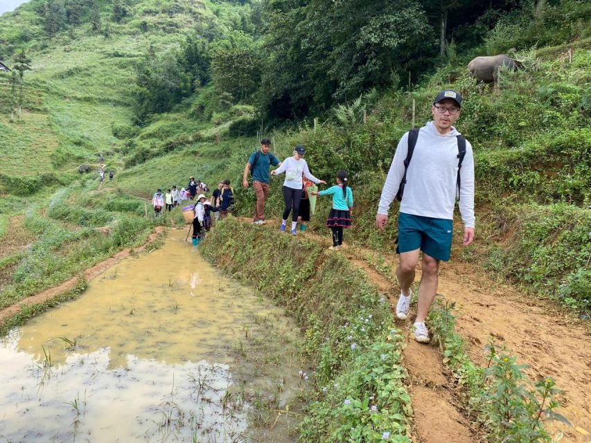 Hanoi: 2-Day Trekking Trip With Ethnic Minority Homestay