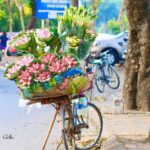 1 hanoi city highlights tour with transfer and lunch Hanoi: City Highlights Tour With Transfer and Lunch