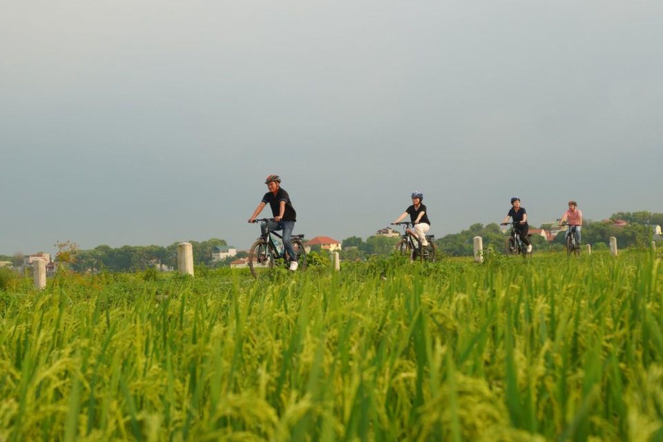 1 hanoi ninh binh full day visit hoa lu tam coc and mua cave Hanoi: Ninh Binh Full-Day Visit Hoa Lu, Tam Coc and Mua Cave