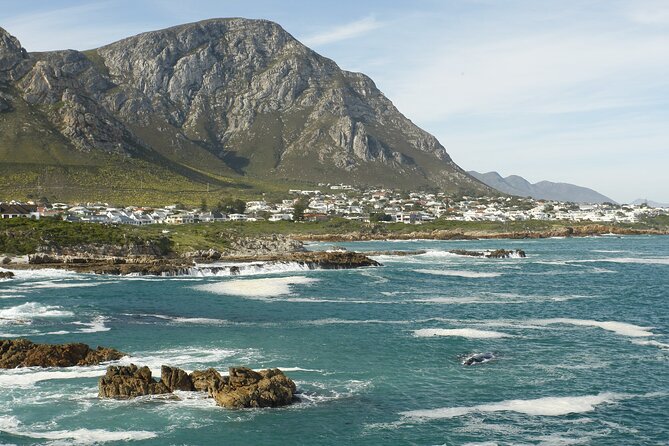 Hermanus Land Based Whale Walking Tour With Dave De Beer