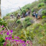 1 hike wine table mountain kirstenbosch and constantia Hike & Wine" - Table Mountain, Kirstenbosch and Constantia