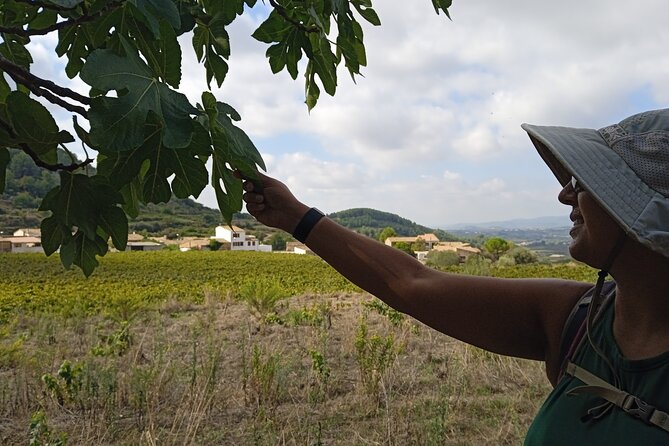 Hiking and Wild Tapas, Discovering the Secret of Plants - Exploring Wild Tapas in Nature