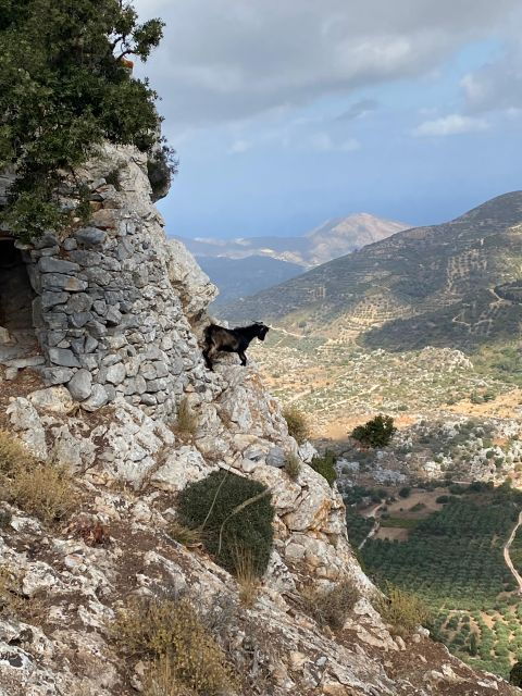 Hiking Kroustas Forest