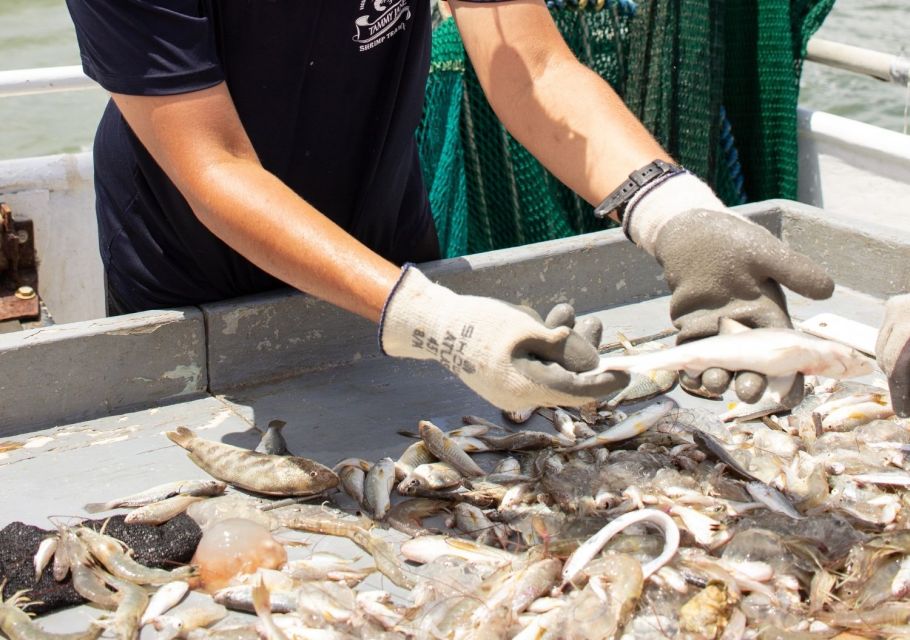 1 hilton head island shrimp trawling boat tour Hilton Head Island: Shrimp Trawling Boat Tour