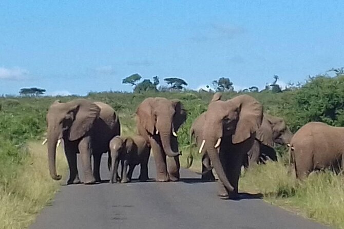 Hluhluwe Imfolozi Park And Isimangaliso Wetlands Park .st Lucia