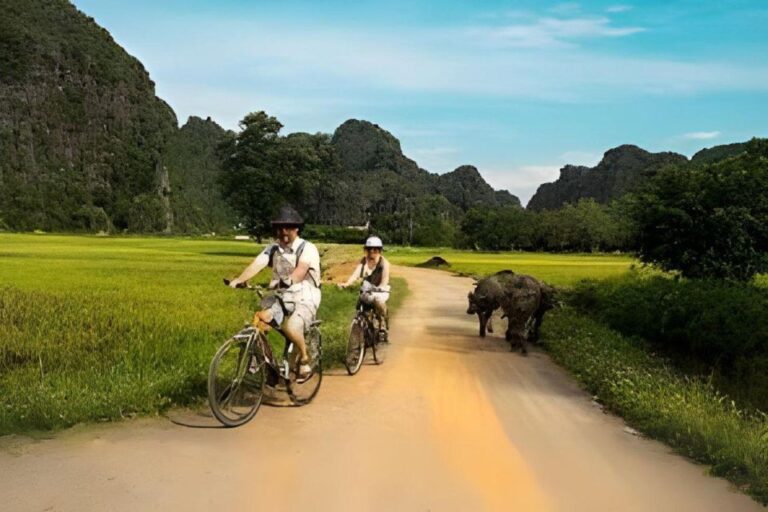 Hoa Lu – Tam Coc – Mua Cave Full Day