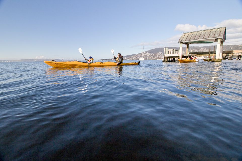 1 hobart city 2 5 hour kayak tour Hobart City 2.5-Hour Kayak Tour