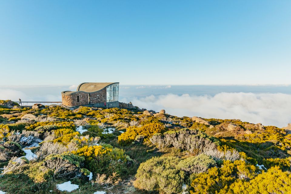 1 hobart mt wellington mt field bonorong and richmond trip Hobart: Mt Wellington, Mt Field, Bonorong and Richmond Trip