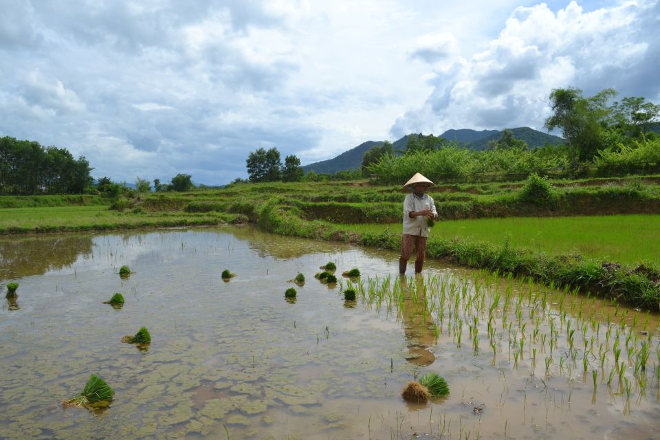 1 hoi an countryside bicycle tour 25 km real vietnam Hoi An Countryside Bicycle Tour : 25 Km Real Vietnam