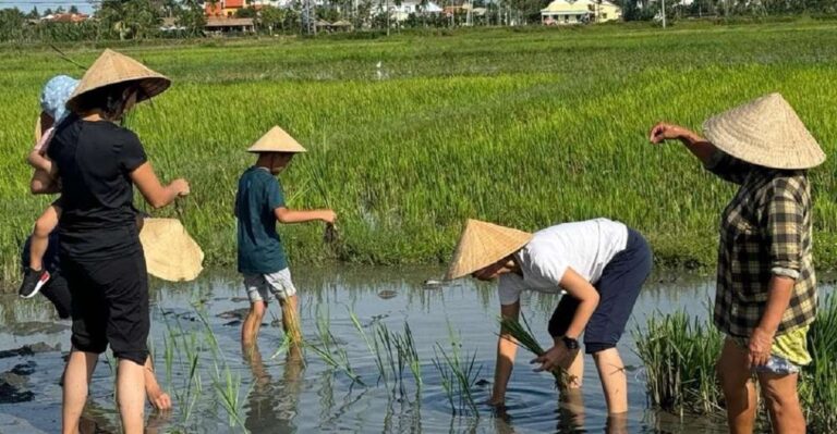 Hoi An:Cycling,Traditional Farming & Fishing Life Experience