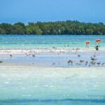 1 holbox island tour in mexico with lunch Holbox Island Tour in Mexico With Lunch