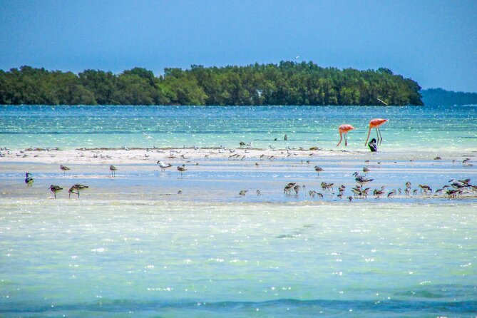Holbox Island Tour in Mexico With Lunch