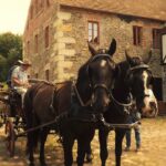 1 horse and carriage tours with polish traditional food experience 2 Horse and Carriage Tours With Polish Traditional Food Experience