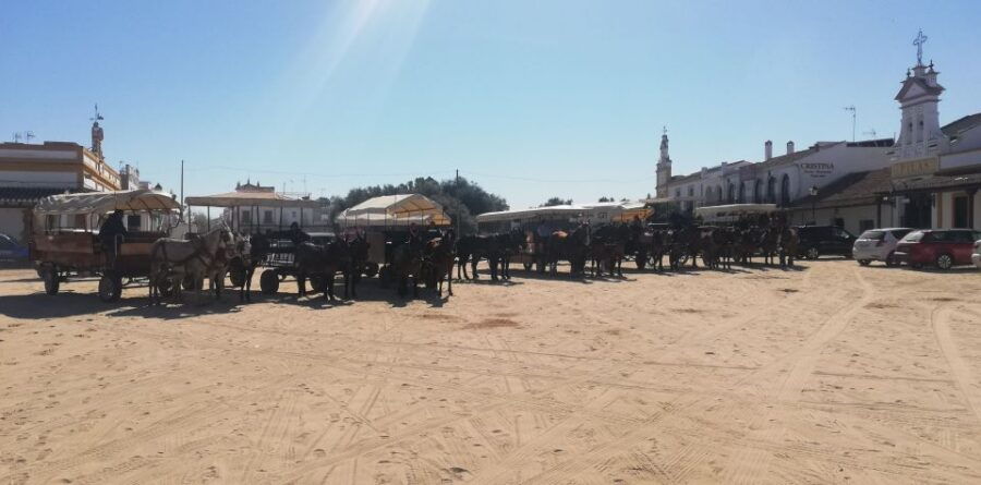 1 horse drawn carriage route through donana park and the villa Horse-Drawn Carriage Route Through Doñana Park and The Villa