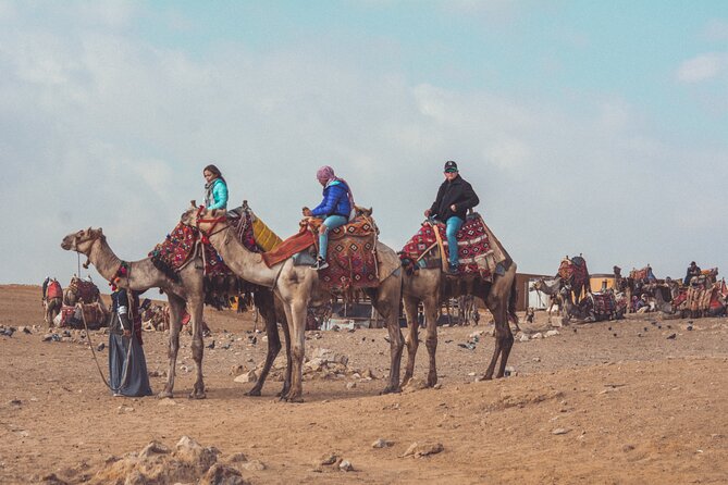 Horse or Camel Ride With Dancing Horse Show in Giza Pyramids