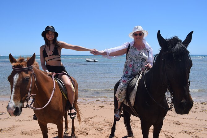 Horse Riding 3 Hours Beach, Desert, & Swimming by Horse in Red Sea – Hurghada