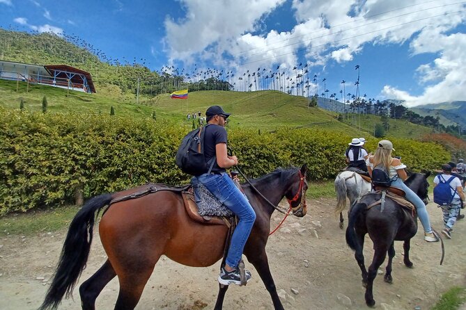 Horse Riding Cocora Valley