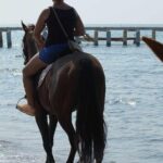 1 horse riding on the beach in side Horse Riding on the Beach in Side