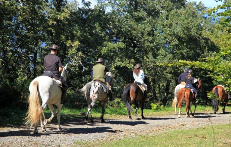 Horse Riding Through the Valleys + Lunch