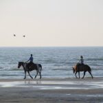 1 horse riding tour 2 hours sea and desert with transfer hurghada Horse Riding Tour 2 Hours Sea and Desert With Transfer - Hurghada