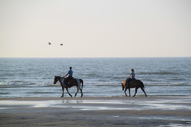 Horse Riding Tour 2 Hours Sea and Desert With Transfer – Hurghada