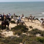 1 horse riding tour in donana national park Horse-Riding Tour in Doñana National Park