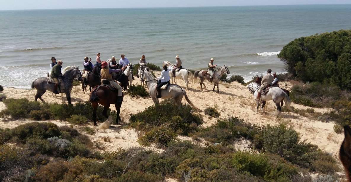 Horse-Riding Tour in Doñana National Park