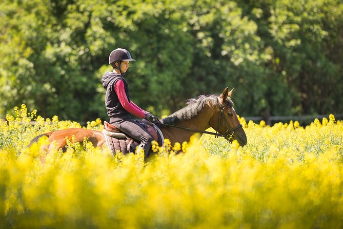 Horse Riding Tour in Marmaris