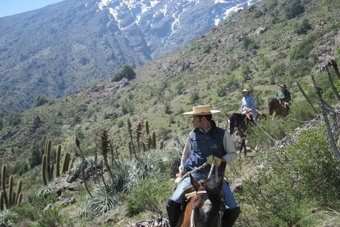 1 horse riding tour in the andes santiago chile Horse Riding Tour in the Andes Santiago Chile