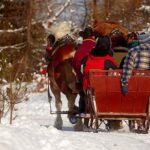 1 horse sleigh ride in the polish countryside private tour from krakow Horse Sleigh Ride in the Polish Countryside, Private Tour From Krakow