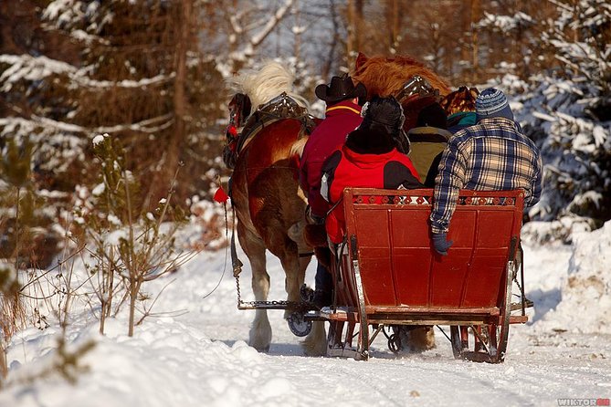 Horse Sleigh Ride in the Polish Countryside, Private Tour From Krakow