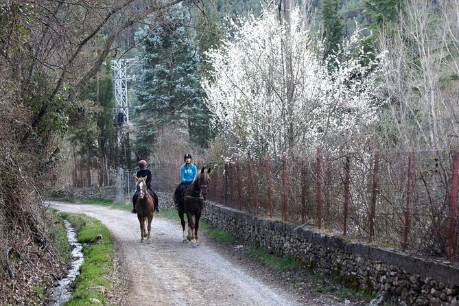 Horseback Riding in Jaca, Huesca, Spain - Logistics