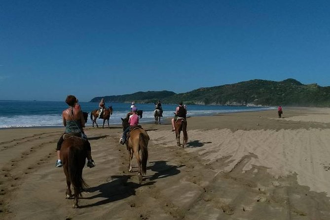 1 horseback riding on the beach and through a coconut plantation Horseback Riding on the Beach and Through a Coconut Plantation