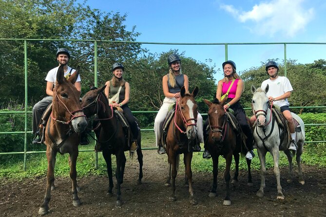 Horseback Riding to the Volcano at Arenal Wilberth Stable