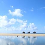 1 horseback riding tour in cabo san lucas Horseback Riding Tour in Cabo San Lucas