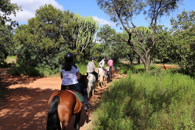 1 horseback safari adventure in hartbeespoort from johannesburg Horseback Safari Adventure in Hartbeespoort From Johannesburg
