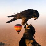 1 hot air balloon sightseeing tour of dubai by sunrise Hot Air Balloon Sightseeing Tour of Dubai by Sunrise