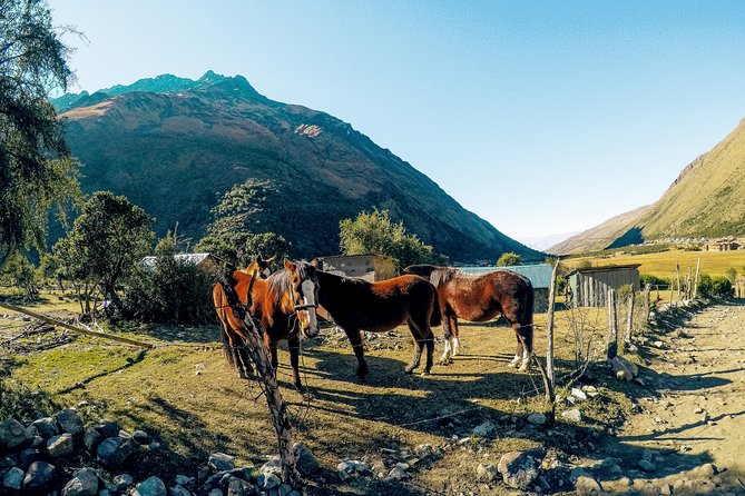 Humantay Lake Full Day - Small Group With Picnic - Dietary Requirements and Restrictions