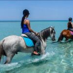 1 hurghada 2 hours camel and horse riding adventure on the sea Hurghada: 2 Hours Camel and Horse Riding Adventure on The Sea.