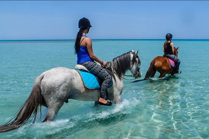 Hurghada: 2 Hours Camel and Horse Riding Adventure on The Sea.