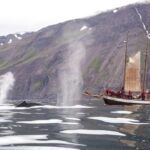 1 husavik whale watching by traditional wooden sailing ship Húsavík: Whale Watching by Traditional Wooden Sailing Ship