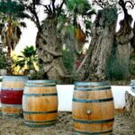 1 ibiza traditional wine tasting culture tour Ibiza Traditional Wine Tasting & Culture Tour